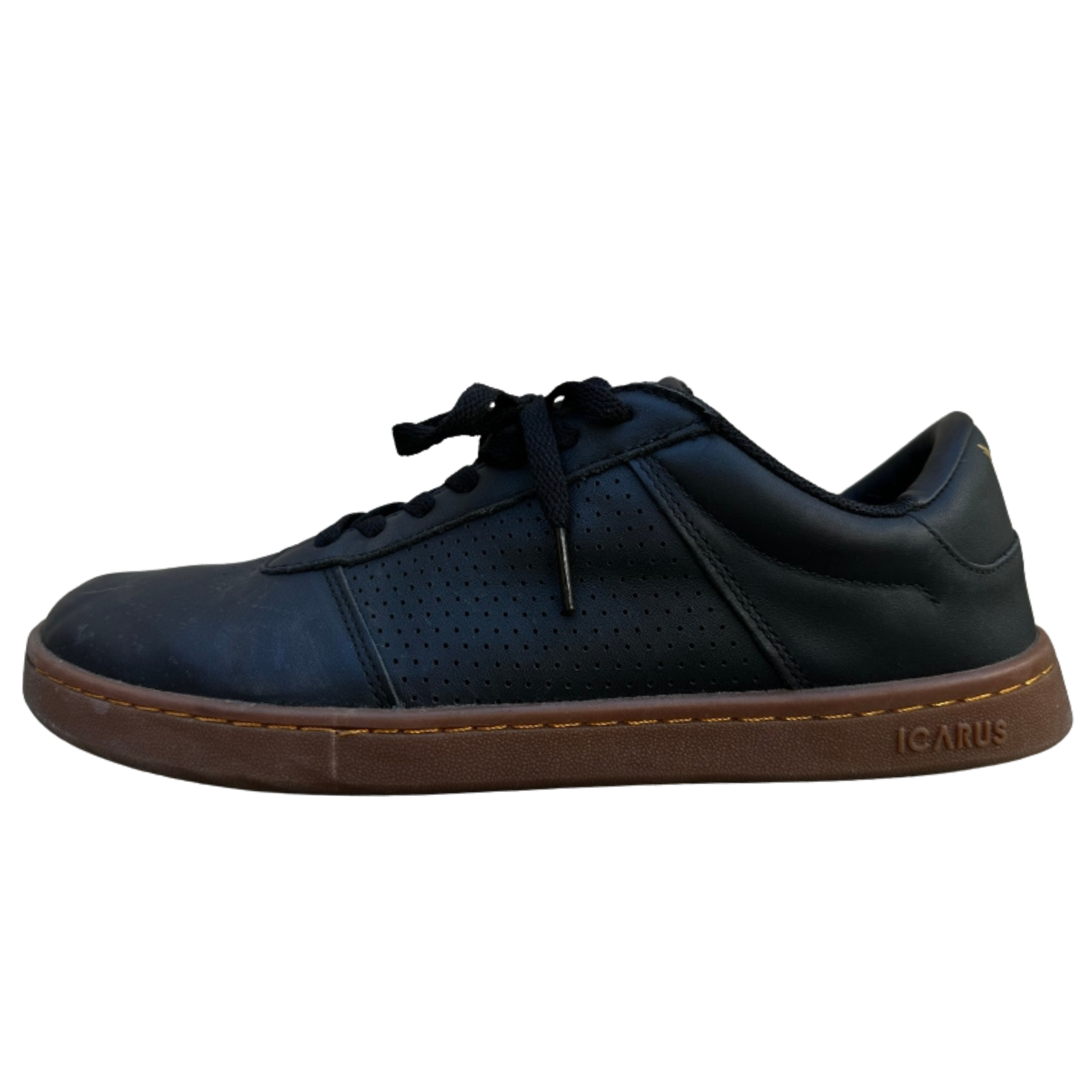 ICARUS Ascent Gen 2 — Black/Gum